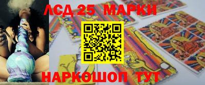 индика Можга