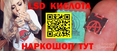 индика Можга