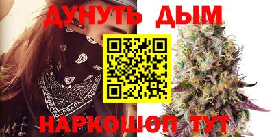индика Можга