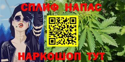 прущие грибы Моздок