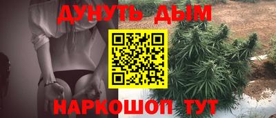 индика Можга
