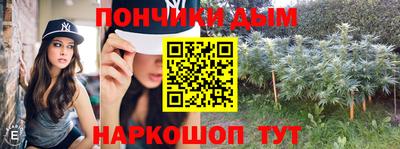 индика Можга