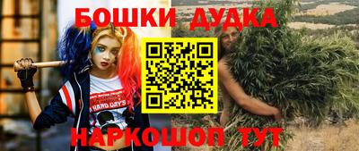 прущие грибы Моздок