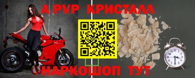 индика Можга