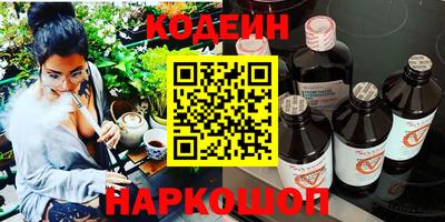 индика Можга